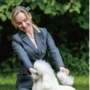 안나애견 이미지