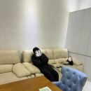 다이소인천갈산점 | W. 14 세미앙 인천 웨딩촬영 후기 (웨스턴팰리스 홀패, 최준혁작가님, 촬영소품, 준비물 등)