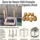 도시농장 이미지