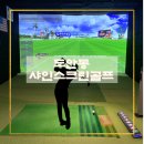 영스크린골프 이미지