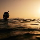 꽃과 만나는 캘리그라피 이미지