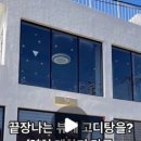 다금식당 이미지