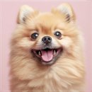 칠곡온동물의료센터 | 친절한 상담 전문 진료 24시 송도 온 동물의료센터