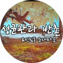 반촌순대