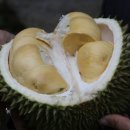 only you민박 이미지