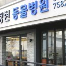 피정현 동물병원 이미지