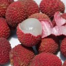 학장과일 이미지