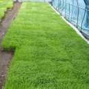 강림중학교 이미지