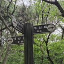 이정목/도심속금정산숲속둘레길(명륜역) 이미지