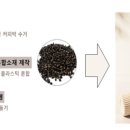 커피박 이미지
