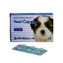 부천고강동물약국 이미지