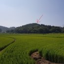 원북면사무소 이미지