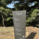 신토불이떡볶이 이미지