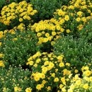 샬롬농원 이미지