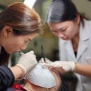 BEAUTY SHOP 이미지