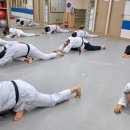 용비석사 태권도 이미지