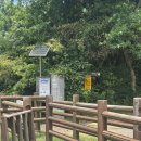 화순곶자왈 | 제주 명소 추천｜여름에도 산책 가능한 화순곶자왈 생태탐방숲길 +수국길