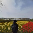 해파랑길 39코스 바우길 05구간 이미지