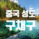 코지의사진과여행 이미지