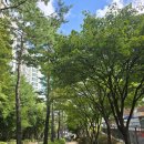 경의선숲길 이미지