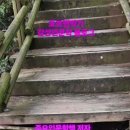 파도호프