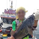 청해낚시 - 완도군 청해진로 172 | 청해낚시