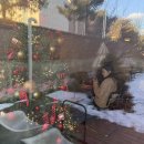 예은목장 | [25.12] 25년을 떠나보내며_ 포르쉐마칸ㅣ을커피브루어스ㅣ돈필살ㅣ무재커피ㅣ포트레ㅣ연말