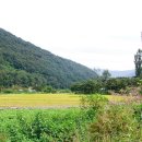 삼창주유소
