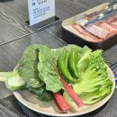 화목뷔페 | 범어동 맛집 ‘화목흑돼지쌈밥’에서 수성구미나리삼겹살 먹어본 후기