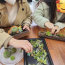 다육공방 티스토리