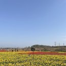 국민건강보험공단 파주지사 이미지