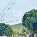 한신공인중개사 앞 이미지