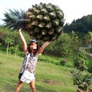 광장농장 이미지