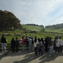 마송중학교 이미지