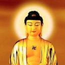 아모카(amogha)