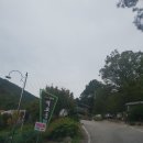 벽오동화순점 네이버블로그