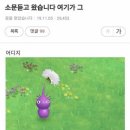 중앙엠비즈 | 10월 말~11월 초의 기록(쿠팡 인천14 IB, OB)