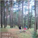 자연에서온 편지 이미지