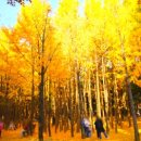 서울숲11 이미지