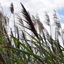 역사힐링길 | 강진 <초당 자연역사> 힐링길