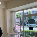 여니네 펫공방 이미지