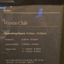 세여자 | 세 여자의 호캉스, The Westin Josun Busan 5성급 오션뷰 후기