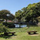 운림 | 추석여행 ⑧ 진도 가볼만한곳 운림산방 후기(입장료, 관람시간, 전시관)