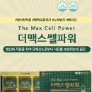 더맥스 네이버블로그