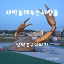 새벽을 깨우는 사람들 &#34;영덕 강구 이야기&#34; 중년들의 반란