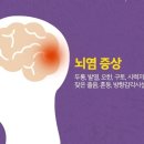 ■ 연쇄상 구균 뇌염 및 BBB (Blood Brain Barrier) 통과 이미지