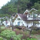 하이디하우스 이미지