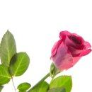 데이&데이 이미지