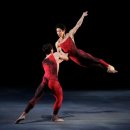 (주)소프트쿡엔터테인먼트 이미지