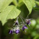 봉화1길 이미지